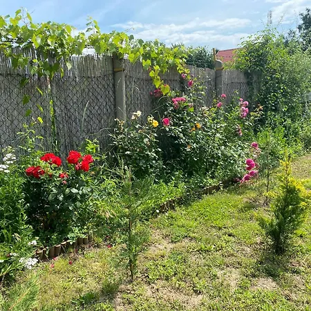 Roenk Vendeghaz Holiday home Tiszaroff
