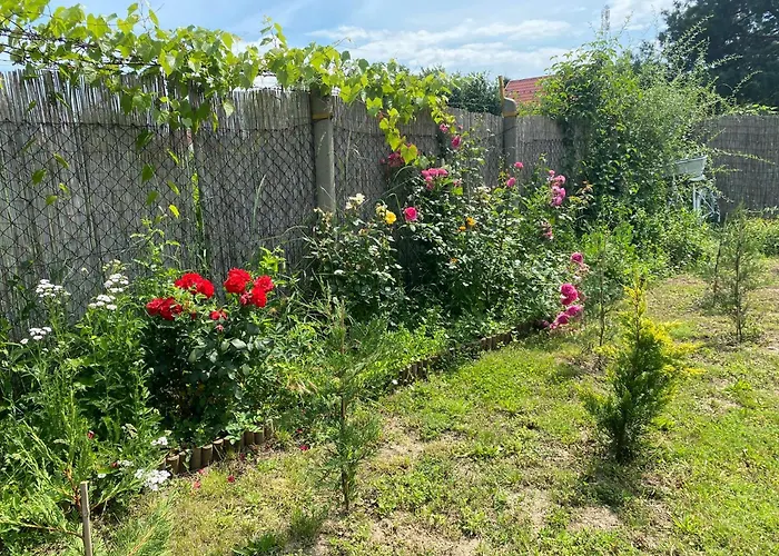 Roenk Vendeghaz Feriehus Tiszaroff